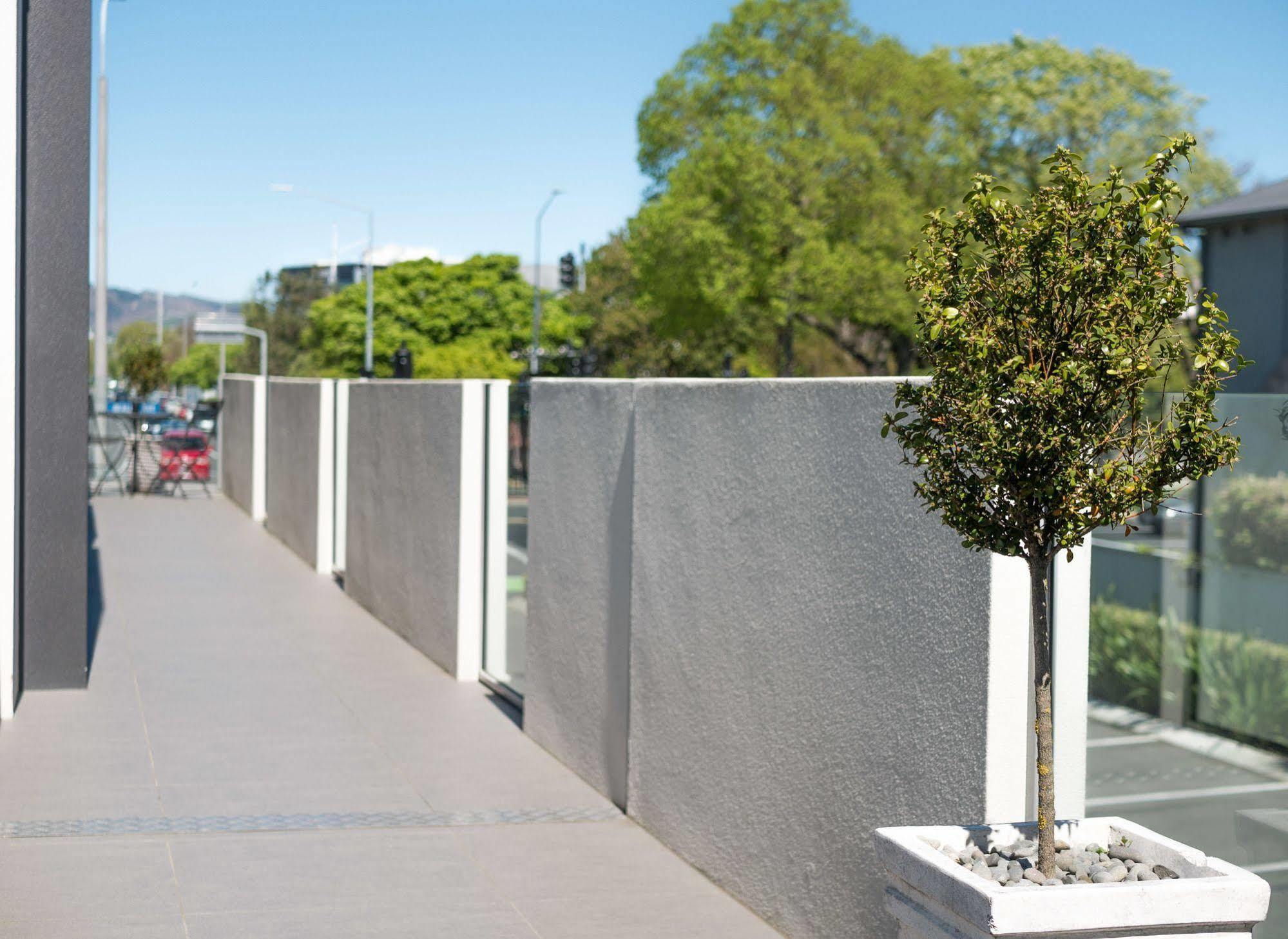 Bellano Motel Suites Christchurch Ngoại thất bức ảnh A tree in a planter box